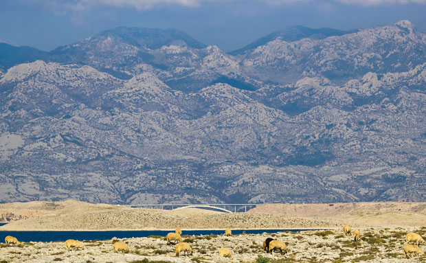 МРАЗ У ХРВАТСКОЈ: На Завиждану - 4 степена, најнижа температура од 1953