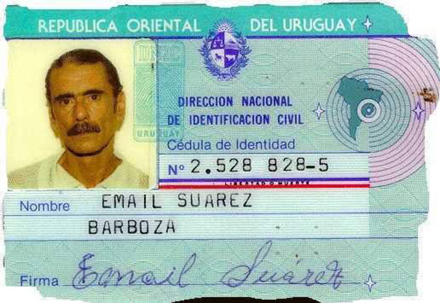 Неки људи постану популарни из потпуно тривијалних разлога