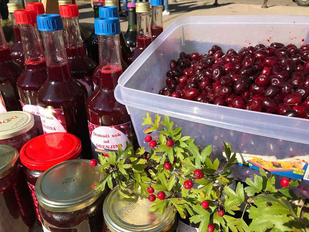 Ђаконијама мамили посетиоце