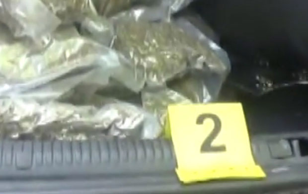 Речна полиција запленила 50 стабљика канабиса у Београду