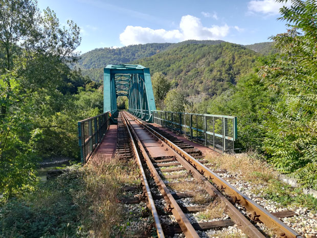 ВОЗ УСМРТИО РИБОЛОВЦА: Од ударца пао са моста у Ибар