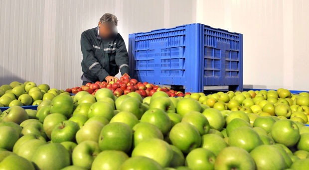 Варали Русе воћем и поврћем из уније