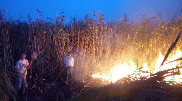 Tри дечака спасла селу њиве кукуруза