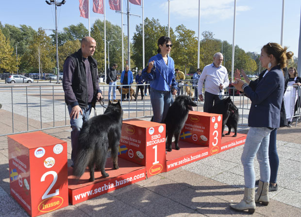ИЗЛОЖБА ПАСА: Мешанац Маза освојио жири (ВИДЕО)