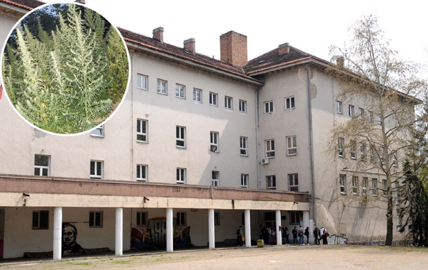 Београд: Продавали дрогу гимназијалцима