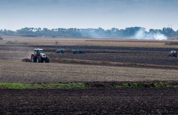 Чиновници коче сетву у Зрењанину