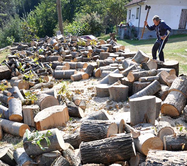 Мајевица: За кубик дрвета 85 марака