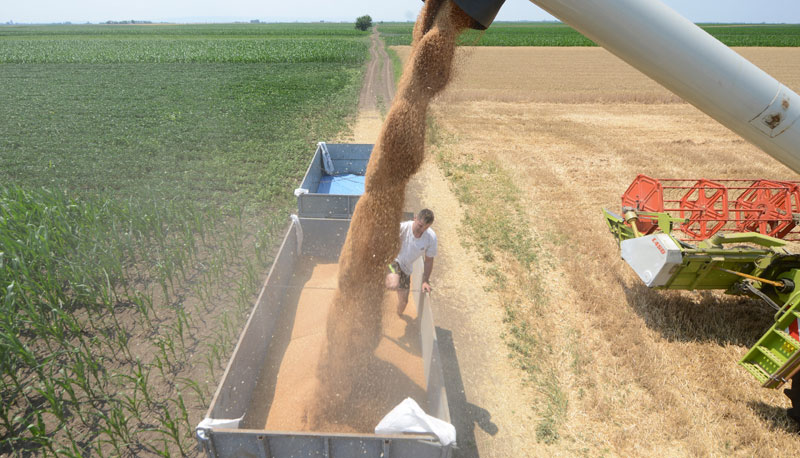 ЈАЧА САРАДЊА СА РУСКИМ РЕГИОНИМА: Следе инвестиције у српску пољопривреду
