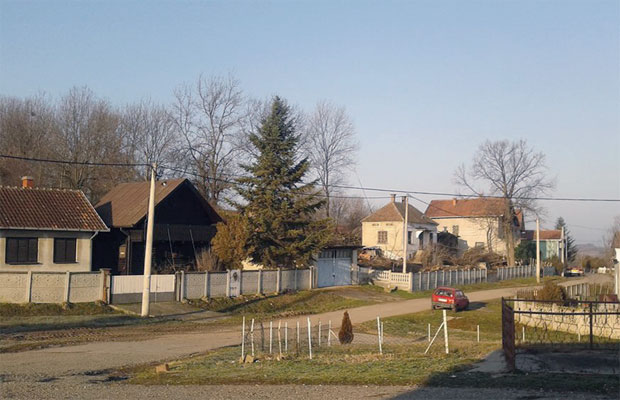 ТЕЖАК ЗЛОЧИН КОД ЖАБАРА: Запалила, па удавила мајку