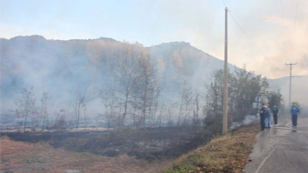ПАЛЕ СТРЊИКУ И НЕ ХАЈУ ЗА ОПАСНОСТ: Пламте пожари око Пирота, Јагодине И Зрењанина