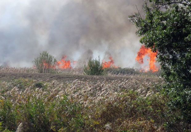 БУКТИЊЕ ОКО НОВОГ САДА: На њивама избило 11 великих пожара