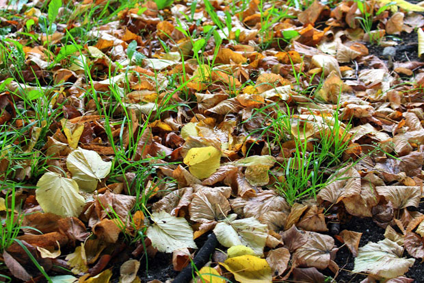 Сутра хладније уз кишу, а ускоро стиже и снег