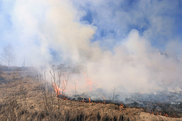 ПОСЛЕ ТРАГЕДИЈЕ НА АУТО-ПУТУ: Министарства формирала тимове са циљем спречавања спаљивања растиња