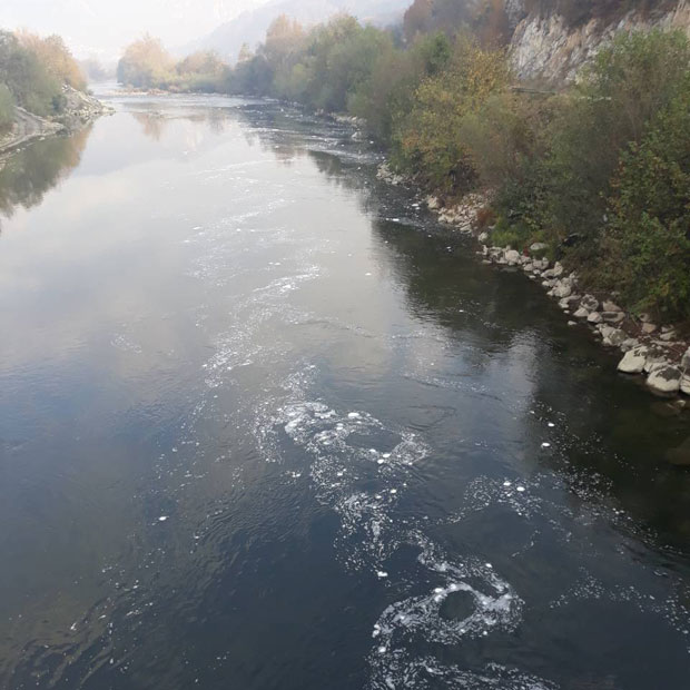 ЛИМОМ ПЛУТА ХИЉАДЕ БЕЛИХ МЕХУРИЋА: Грађани сумњају да је река загађена