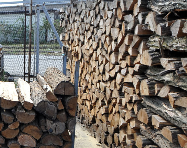 Због бесправне сече шуме одузета већа количина огревног дрвета