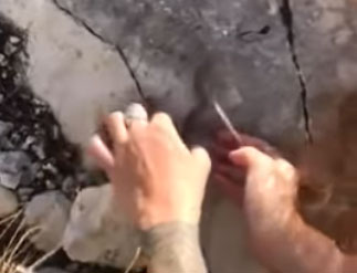 “ДАРВИНОВА НАГРАДА”: Ујео је поскок ког је хтела да помази, па прогутала отров!? (ВИДЕО)