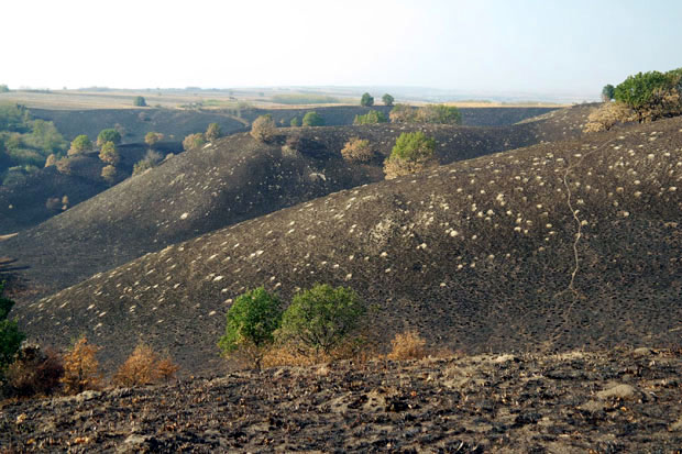 Од бисера пепео!
