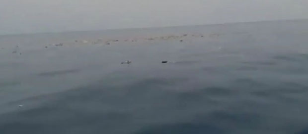 ЈЕЗИВИ ПРВИ СНИМЦИ СА ЛИЦА МЕСТА: Пао Боинг 737 са 189 људи, пронађене само личне ствари и остаци авиона