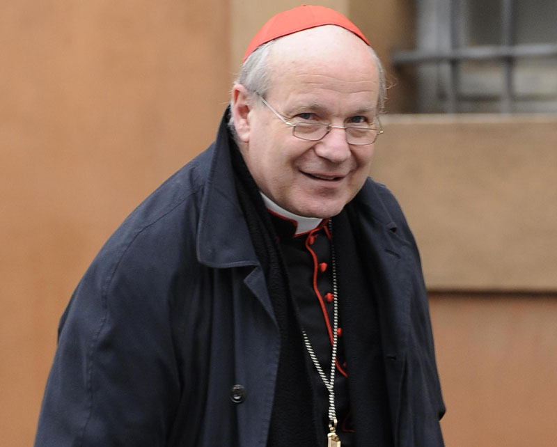 ПОСЛЕ СИЛОВАЊА И УБИСТВА ТИНЕЈЏЕРКЕ: Кардинал у Риму затражио протеривање миграната-криминалаца