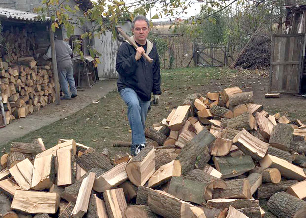 Шпијунка: Дрва напретек