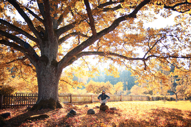 ВРЕМЕНСКА ПРОГНОЗА: Стиже ли крај михољског лета?