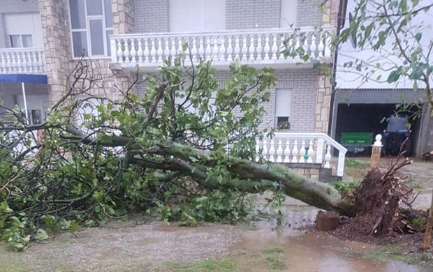 НЕВРЕМЕ У ЦРНОЈ ГОРИ: Ветар чупао дрвеће, у Подгорици остали без пијаће воде