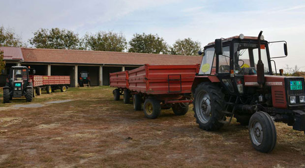 Тужба задругу Србобран води у стечај