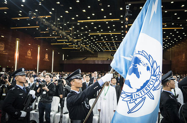 Врх Интерпола подељен око гласања о Косову