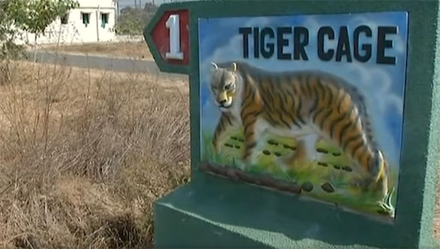 Индија: Убијена тигрица намамљена парфемом Опсесија