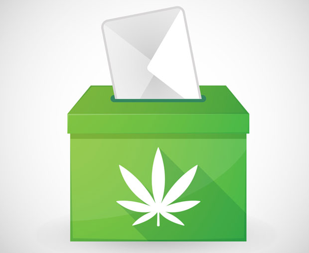 Цариници пронашли више од 50 семенки канабиса у поштанским пошиљкама