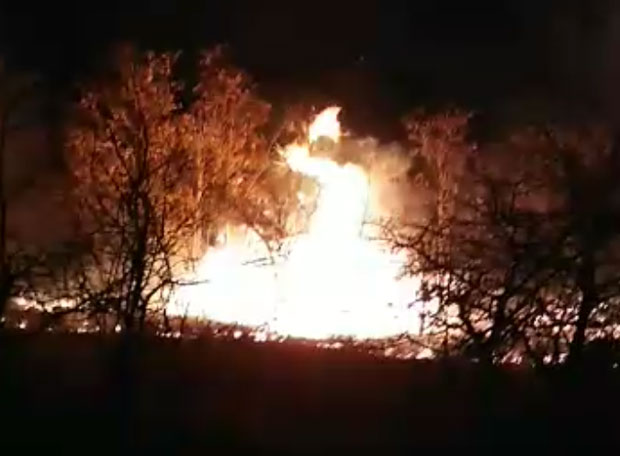 АЛАРМАНТНО СТАЊЕ НА ОБРНОЦИМА СВРЉИШКИХ ПЛАНИНА: Горела чак 60 хектара земље. Због јаког ветра који није престајао током понедељка, пожар се ширио веома брзо