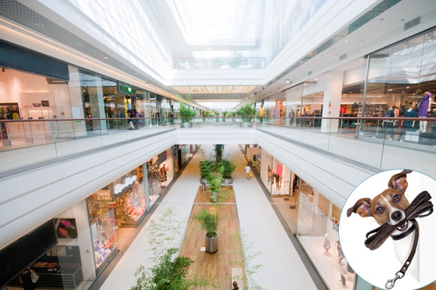 Кинески град ограничио кретање паса и забранио приступ парковима