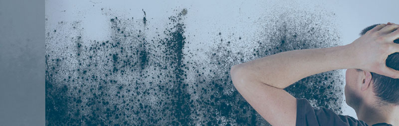 Дугорочно се решите влаге и буђи (ВИДЕО)