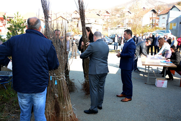 Воћарима у Лепосавићу подељено више од 95.000 садница