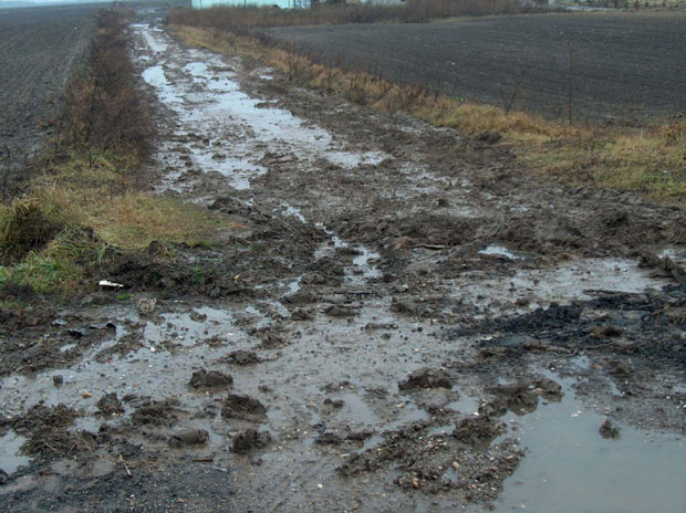 Паоре муче водолежи