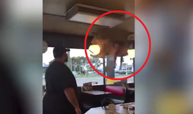 КАДАР НЕВЕРА: Лопов без панталона пропао кроз плафон ресторана, потукао се са гостима и побегао (ВИДЕО)