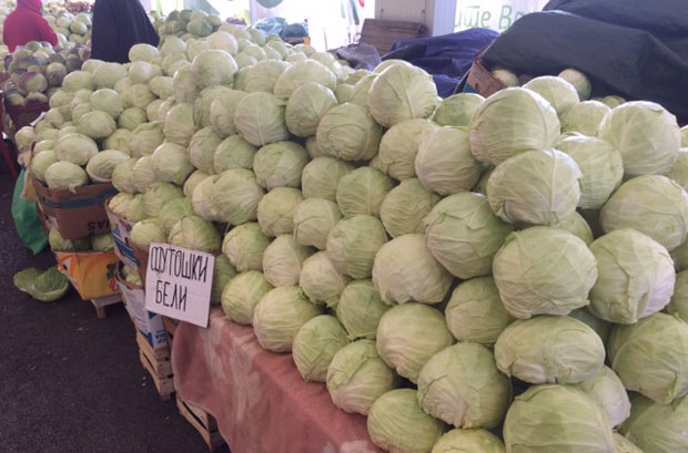 Купус господари тезгама