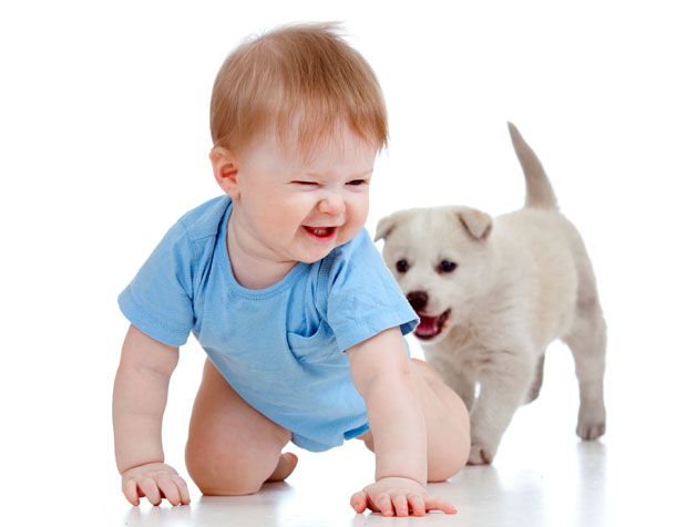 Куце штите бебе од инфекција