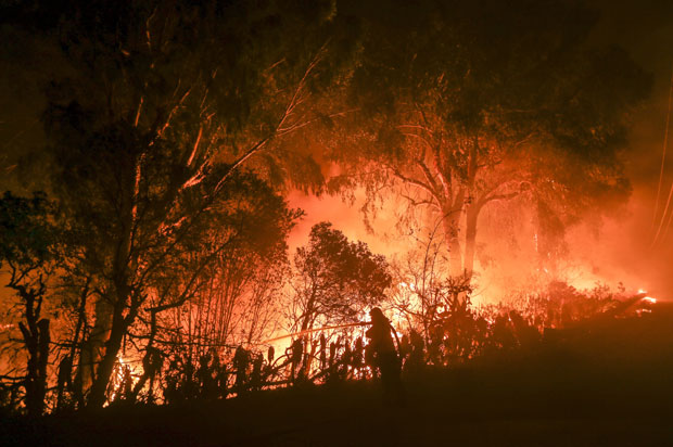 УЖАС У САД: Најсмртоноснији пожар у историји Калифорније - 42 жртве (ФОТО)