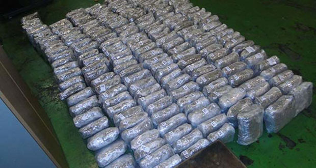 КАМИОНИ ПУНИ МАРИХУАНЕ: У Пироту оптужница за шверц скоро 300 килограма дроге 