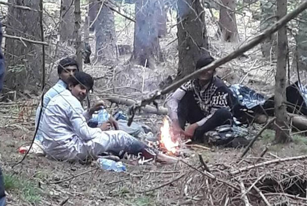 ПЉЕВЉАЦИ У ПАНИЦИ ЗБОГ МИГРАНАТА: Страхују од упада у куће