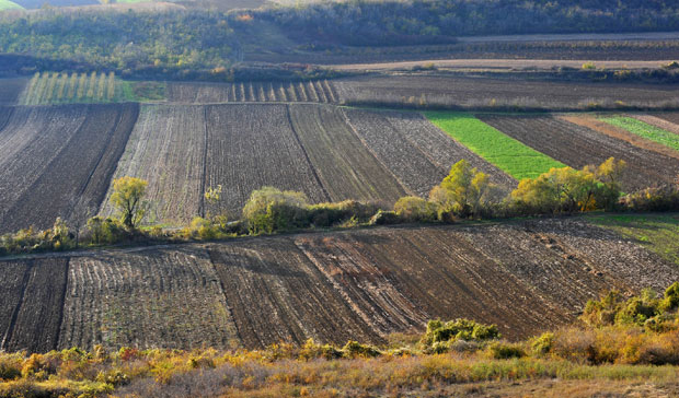 Корист и уштеда од укрупњавања земљишта
