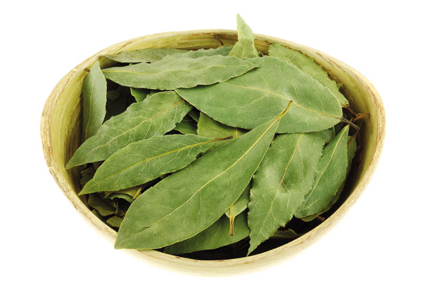 Против грипа и бронхитиса