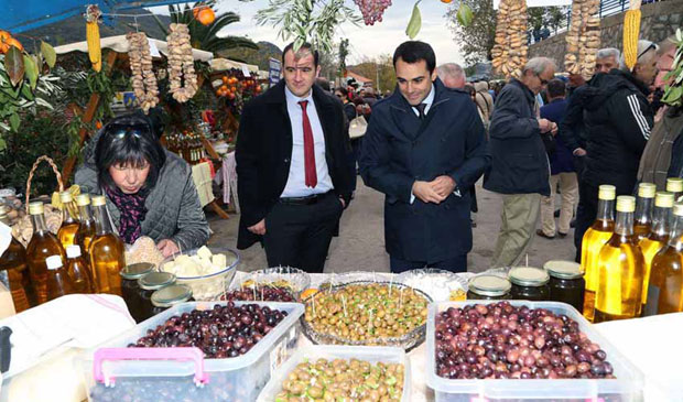 Цеде уље за свет