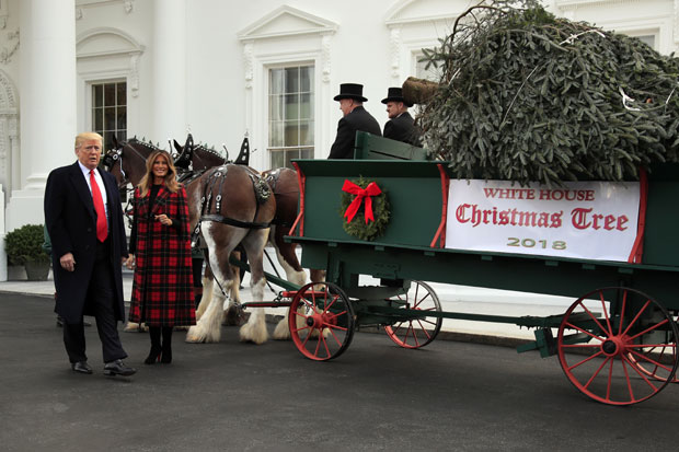 Доналд и Меланија Трамп примили божићну јелку за Белу кућу (ВИДЕО)