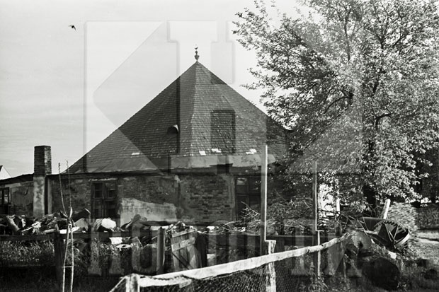 Београдске приче: На Лиман џамији победила - људскост