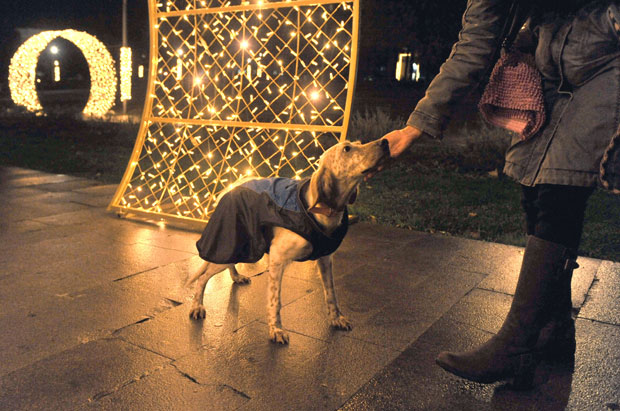 Због безбедности додатна провера украсне расвете