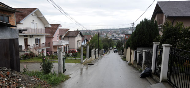 Била Степина, сад Багремова