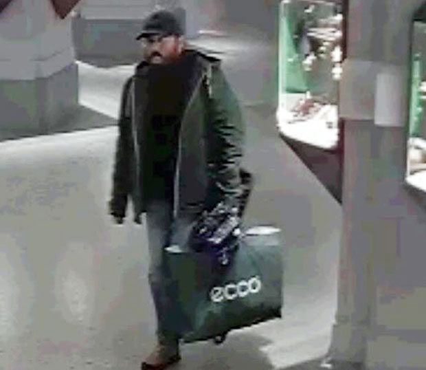 Три мушкарца украла слику Реноара уочи аукције у Аустрији