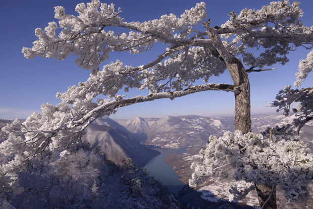 НАЈБОЉИ ДОЧЕК 2019. ГОДИНЕ: За празнике у хотелима Оморика и Бреза 